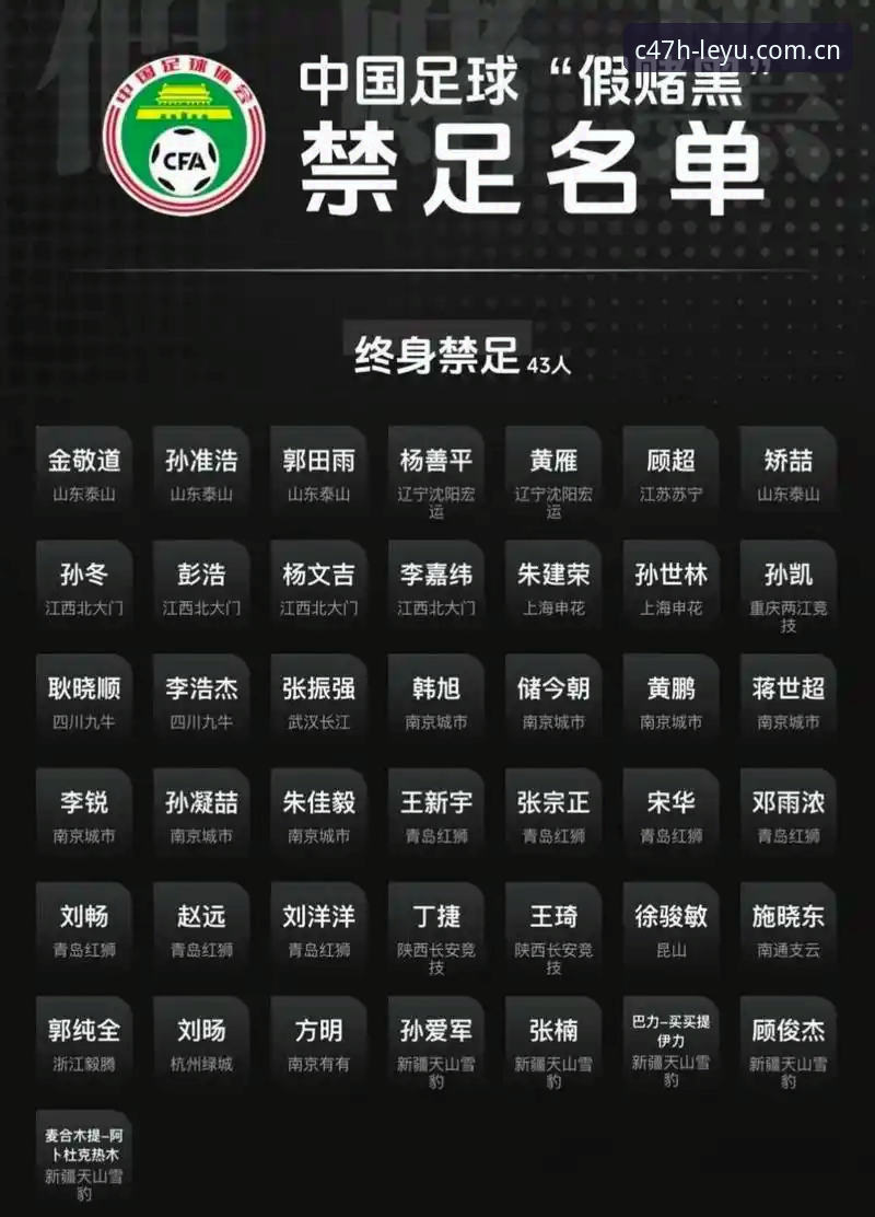 足协第三批禁足名单深度解析：leyu电脑下载使用指南助你掌握完整数据