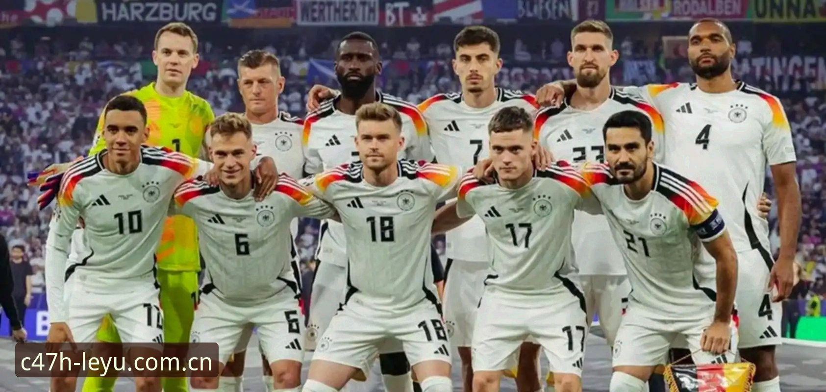 德国队世界杯26人名单解读教程：乐鱼体育平台数据查阅与乐鱼入口导航安全吗操作指南