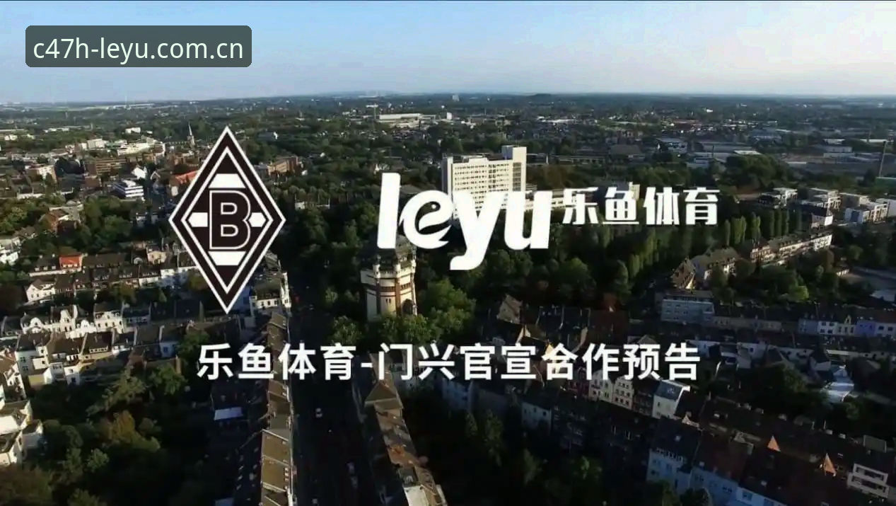 leyu APP登录入口安全吗 乐鱼体育平台使用安全指南:leyu APP登录入口风险与防护全解析